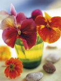 Buy Pensees at AllPosters.com