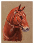 Buy Greencoat at AllPosters.com