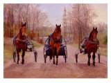 Buy Winter Training at AllPosters.com