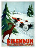 Michelin, Snow Tire