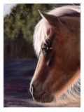 Buy Reflecting Moments at AllPosters.com
