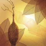 Buy Transparence I at AllPosters.com
