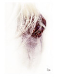 Buy Window to the Soul at AllPosters.com