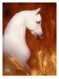 Buy Wheat Field at AllPosters.com