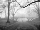Gothic Bridge, Central Park, New York City