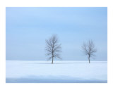 Buy Baby Blue Winter at AllPosters.com