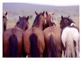 Buy Tail End at AllPosters.com