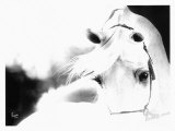 Buy Impressions at AllPosters.com