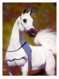 Buy A Vision in White at AllPosters.com