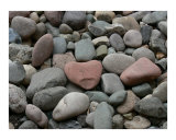 Buy Heart of a Rock at AllPosters.com