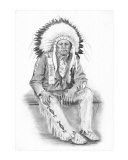 Buy Native American Blackfoot Indian at AllPosters.com