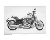 Harley Davidson Motorcycle
