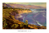 Buy Point Dume Cove at AllPosters.com