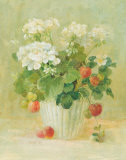 White Geraniums with Strawberries