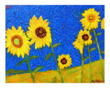 Buy Sunflowers in Tuscany II at AllPosters.com