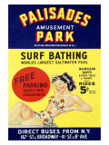 Palisades Amusement Park