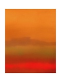 Buy Orange Peel at AllPosters.com