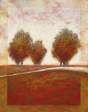 Buy Morning Mist Rising I at AllPosters.com