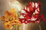Buy Tulips at AllPosters.com