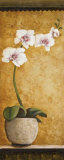 Buy Hanna's Orchids I at AllPosters.com