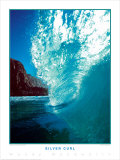Buy Silver Curl at AllPosters.com