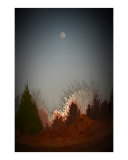 Buy Moon Struck at AllPosters.com