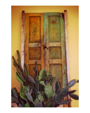 Buy La Puerta Vieja at AllPosters.com
