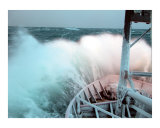 Buy Headed north in the Bering Sea at AllPosters.com
