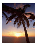 Buy Cayman Island Sunset at AllPosters.com