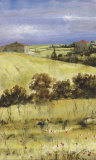 Tuscan Daylight II