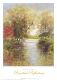 Riverbed Reflections
