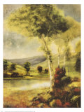 Buy Ancestral Beauty II at AllPosters.com