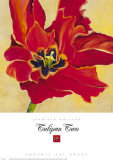 Buy Tulipan II at AllPosters.com