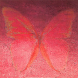 Buy Red Butterfly at AllPosters.com