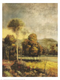 Buy Ancestral Beauty I at AllPosters.com