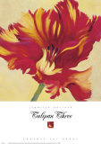 Buy Tulipan Three at AllPosters.com