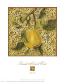 Buy Fruit Panel II at AllPosters.com