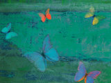 Buy Schmetterling Turkis at AllPosters.com