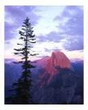 Half Dome from Glacier Point