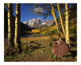 Maroon Bells, Aspen Trees & Rock
