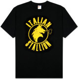 Rocky - Black Stallion