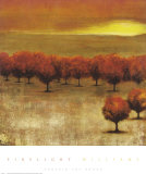 Buy Firelight at AllPosters.com