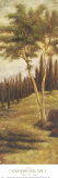 Buy Canyon del Sol I at AllPosters.com