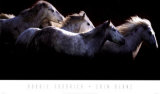 Buy Crin Blanc at AllPosters.com