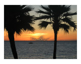 Buy Sunset in Paradise at AllPosters.com