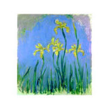 Buy Les Iris Jaunes at AllPosters.com