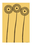 Dandy Dichromatics I
