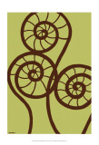 Dichromatic Fiddleheads II