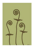 Dichromatic Fiddleheads III