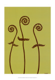 Dichromatic Fiddleheads I
